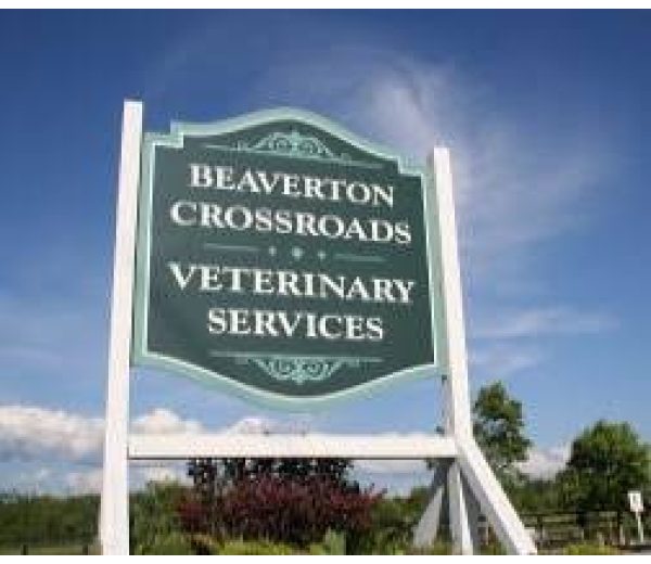 Photo of Beaverton Crossroads Veterinary Services Photo of Beaverton Crossroads Veterinary Services