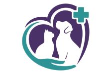 Photo of Spay Neuter Initiatives Association Photo of Spay Neuter Initiatives Association