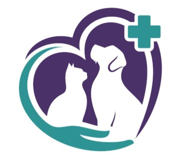 Photo of Spay Neuter Initiatives Association Photo of Spay Neuter Initiatives Association