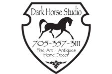 Photo of The Dark Horse Photo of The Dark Horse